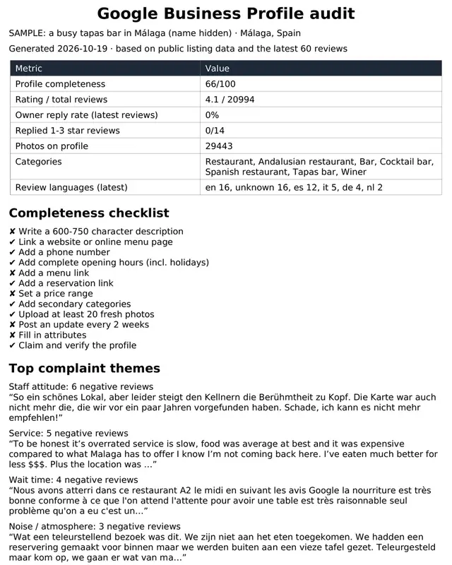 Google Profile Audit: Close-up of sample page 1