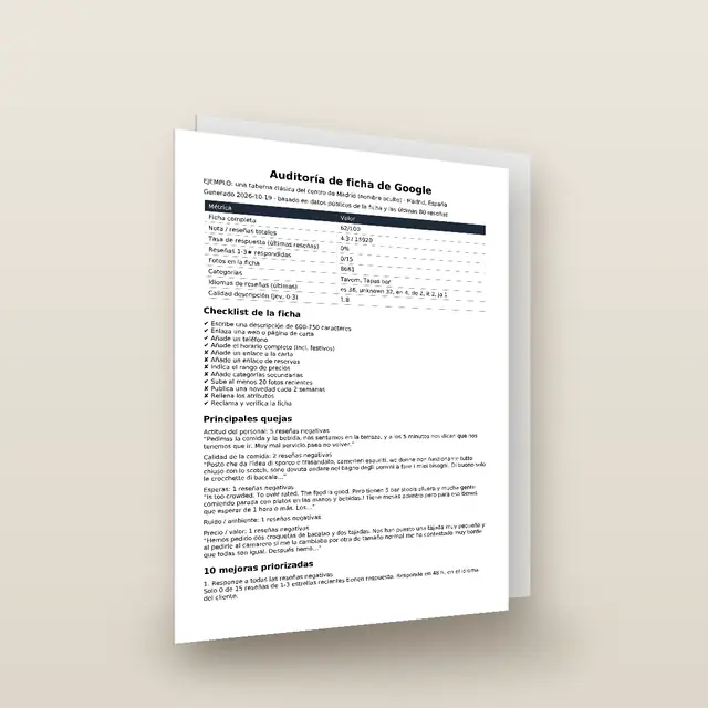 Google Profile Audit: The sample report, pages stacked