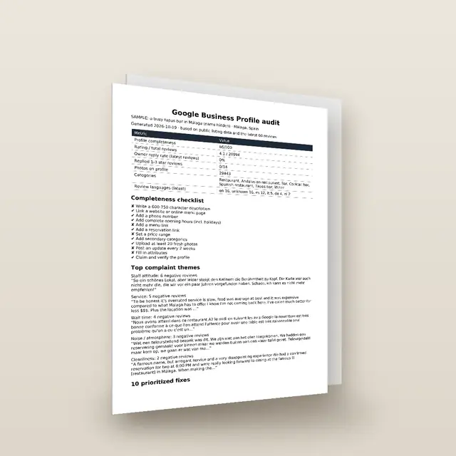 Google Profile Audit sample report